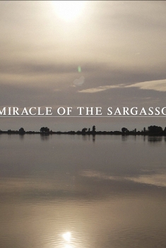 The Miracle of the Sargasso Sea (2018)